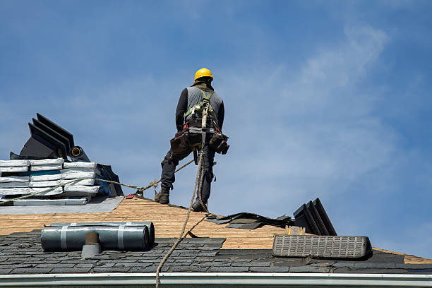 Professional Roof Replacement technician working in Buxton, ND